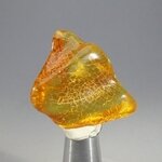 Amber Tumblestone ~33mm