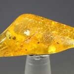 Amber Tumblestone ~35mm