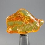 Amber Tumblestone ~38mm