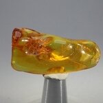 Amber Tumblestone ~39mm