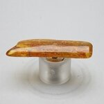 Amber Tumblestone ~47mm