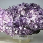 Amethyst Cluster (Uruguayan) ~135 x 65mm