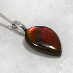 Ammolite Opal Pendant ~23mm