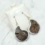 Ammonite 925 Silver Drop Earrings ~32mm