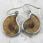 Ammonite 925 Silver Earrings  ~25mm
