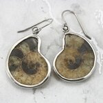 Ammonite 925 Silver Earrings  ~26mm