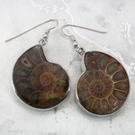 Ammonite 925 Silver Earrings  ~31mm