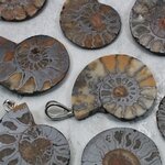 Ammonite Fossil 925 Silver Pendant ~25-28mm