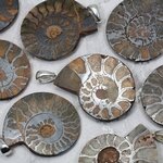 Ammonite Fossil 925 Silver Pendant ~30-35mm