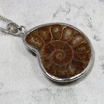 Ammonite Fossil 925 Silver Pendant ~30mm