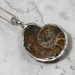 Ammonite Fossil 925 Silver Pendant ~30mm