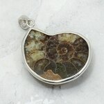 Ammonite Fossil 925 Silver Pendant ~31mm