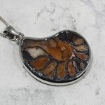 Ammonite Fossil 925 Silver Pendant ~31mm