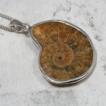 Ammonite Fossil 925 Silver Pendant ~31mm