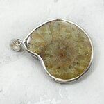 Ammonite Fossil 925 Silver Pendant ~33mm