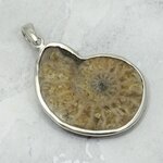 Ammonite Fossil 925 Silver Pendant ~33mm
