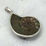 Ammonite Fossil 925 Silver Pendant ~34mm