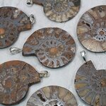 Ammonite Fossil 925 Silver Pendant ~40-45mm