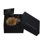 Ammonite Fossil Gift Box - Medium