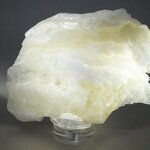 Angel Wing Calcite Healing Crystal ~108mm