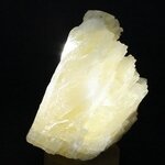 Angel Wing Calcite Healing Crystal ~67mm