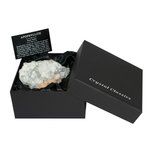Apophyllite Cluster Gift Box - Medium