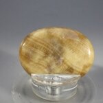 Aragonite Thumbstone (Extra Grade) ~40x30mm