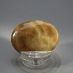 Aragonite Thumbstone (Extra Grade) ~40x30mm