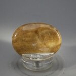 Aragonite Thumbstone (Extra Grade) ~40x30mm