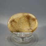 Aragonite Thumbstone (Extra Grade) ~40x30mm