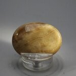 Aragonite Thumbstone (Extra Grade) ~40x30mm