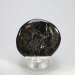 Arfvedsonite Polished Flat Tumblestone ~43mm
