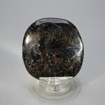 Arfvedsonite Polished Flat Tumblestone ~53mm
