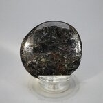 Arfvedsonite Polished Flat Tumblestone ~53mm