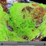 Arthurite Mineral - Micro Specimen