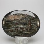 Astrophyllite Palmstone (Extra Grade) ~70x50mm