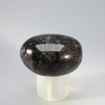 Astrophyllite Tumblestone  ~34mm