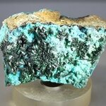 Atacamite Mineral Specimen ~50mm