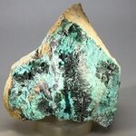 Atacamite Mineral Specimen ~70mm