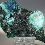Atacamite Mineral Specimen ~70mm
