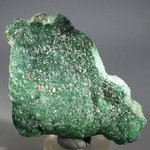 RARE Atacamite Mineral Specimen ~83mm