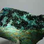 RARE Atacamite Mineral Specimen ~97mm
