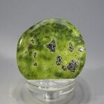 Atlantisite Flat Tumblestone ~37mm