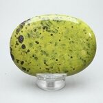Atlantisite Palmstone (Extra Grade) ~70 x 50 mm
