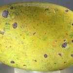 Atlantisite Palmstone (Extra Grade) ~70x50mm
