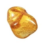 Baltic Amber Healing Crystal