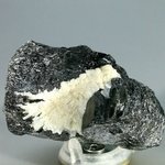 Black Tourmaline with Cleavelandite Mineral Specimen ~62mm