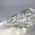 Black Kyanite Healing Crystal ~108mm