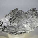 Black Kyanite Healing Crystal ~115mm