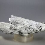 Black Kyanite Healing Crystal ~128mm